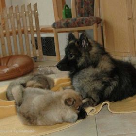 Frenja & Flame mit Papa Ayo