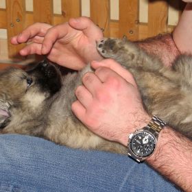 #3: Verwöhnprogramm