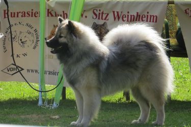 Urmel 10 Mon., Ausstellung in Duisburg