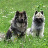 Papa Timo mit Tochter Urmel