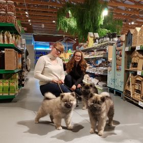 Im Fachmarkt für Tierbedarf