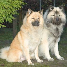 Hochzeitsfoto Raika & Benz