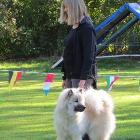 Indie (SRA-Rheinberg 2019)