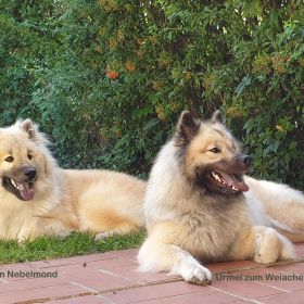 Indie vom Nebelmond mit Mutter Urmel