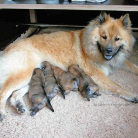 In der Wurfkiste (1. Woche)