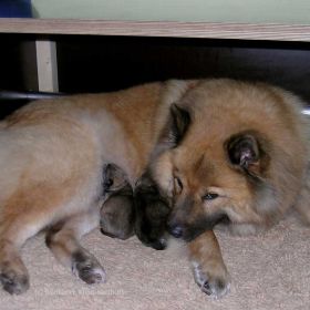 Nach der Geburt (2.Stunde)