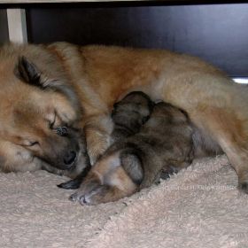 Frenja & Flame (17.Tag)