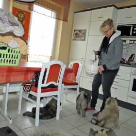 Trockenübungen mit dem Mixer