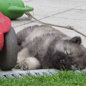 Wer schläft, sündigt nicht...