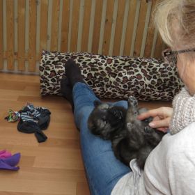 #2: Bäuchlein killern...