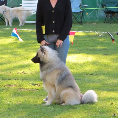 Ilay (SRA-Rheinberg 2019)