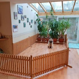 Urmel inspiziert den Welpenauslauf