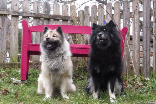 Hochzeitsfoto L-Wurf vom Nebelmond