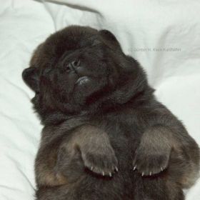 Cimba in der 2.Woche