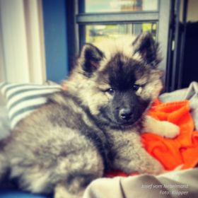 Josef zu Hause angekommen