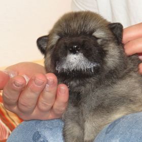 Keine Gesichtsmaske, nur Entwurmungsmittel...