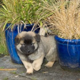 Cando in der 7.Woche