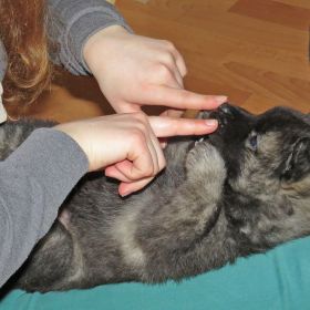 #1: Was gehts mir gut...