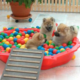 In dre Bällekiste (7. Woche)