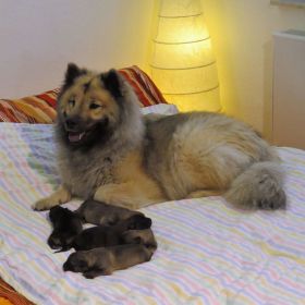 Ausgewiesen aus der Wurfkiste